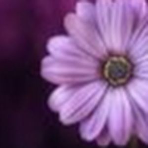 Meet your Posher, Tamara